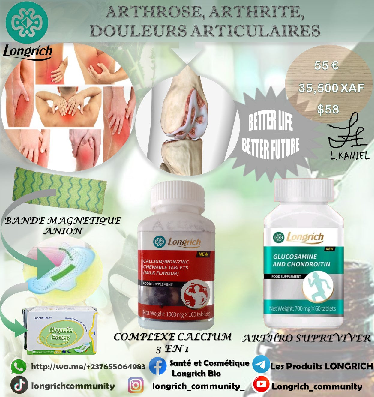 Arthrose, Arthrite, Douleurs Articulaires Traitement Longrích
